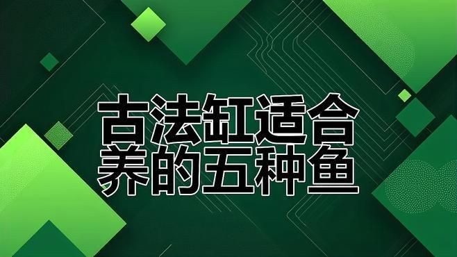 老式水缸適合養什么魚【古法缸必養五種魚,耐性強又美觀】