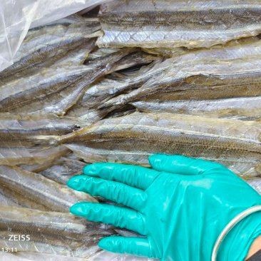 馬步魚一斤多少個【一斤馬步魚能包含多少個并沒有固定的答案，長沙夜宵-大眾點評】