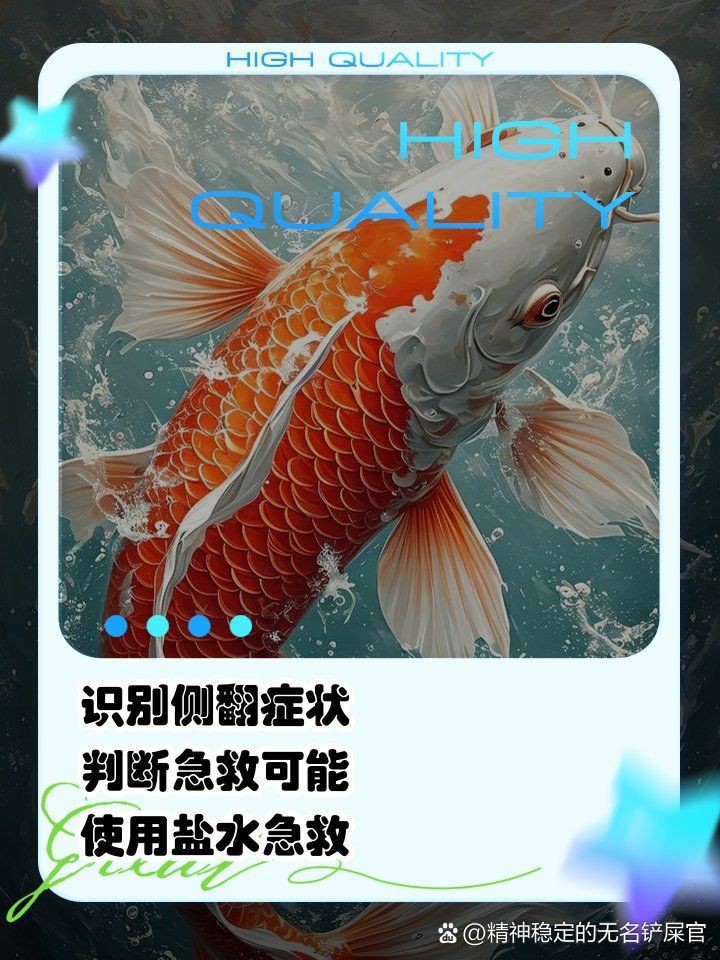 錦鯉趴缸側翻怎么辦【錦鯉趴缸側翻是什么原因如何解決】
