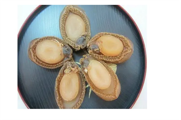 十大最貴鮑魚排名【世界十大最貴鮑魚品種排行榜《十大最貴鮑魚排名》】 十大最貴鮑魚排名【世界十大最貴鮑魚品種排行榜《十大最貴鮑魚排名》】 龍魚論壇 第2張