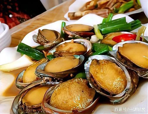 十大最貴鮑魚排名【世界十大最貴鮑魚品種排行榜《十大最貴鮑魚排名》】 十大最貴鮑魚排名【世界十大最貴鮑魚品種排行榜《十大最貴鮑魚排名》】 龍魚論壇 第6張