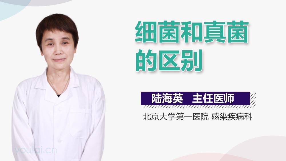 如何區分真菌和細菌感染？【劉雯敏副主任醫師三甲真菌感染和真菌感染的區別是什么】