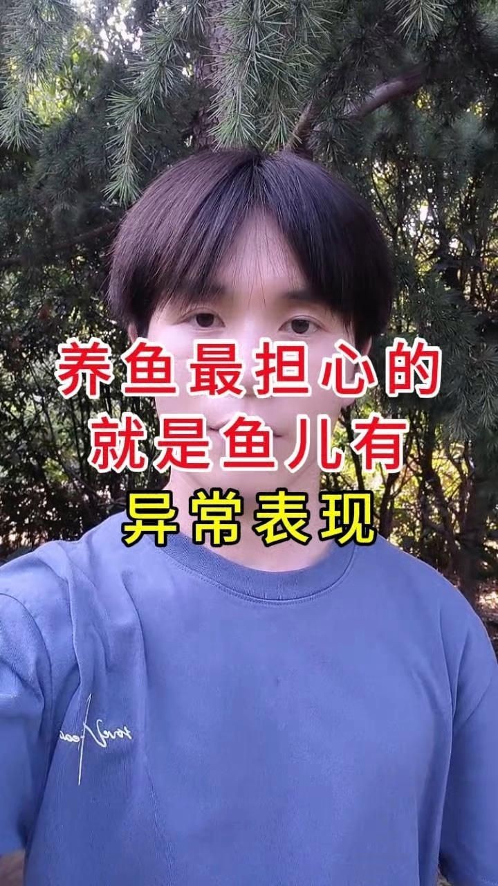 龍魚內寄和外寄的癥狀有哪些區(qū)別？【如何判斷龍魚有寄生蟲】