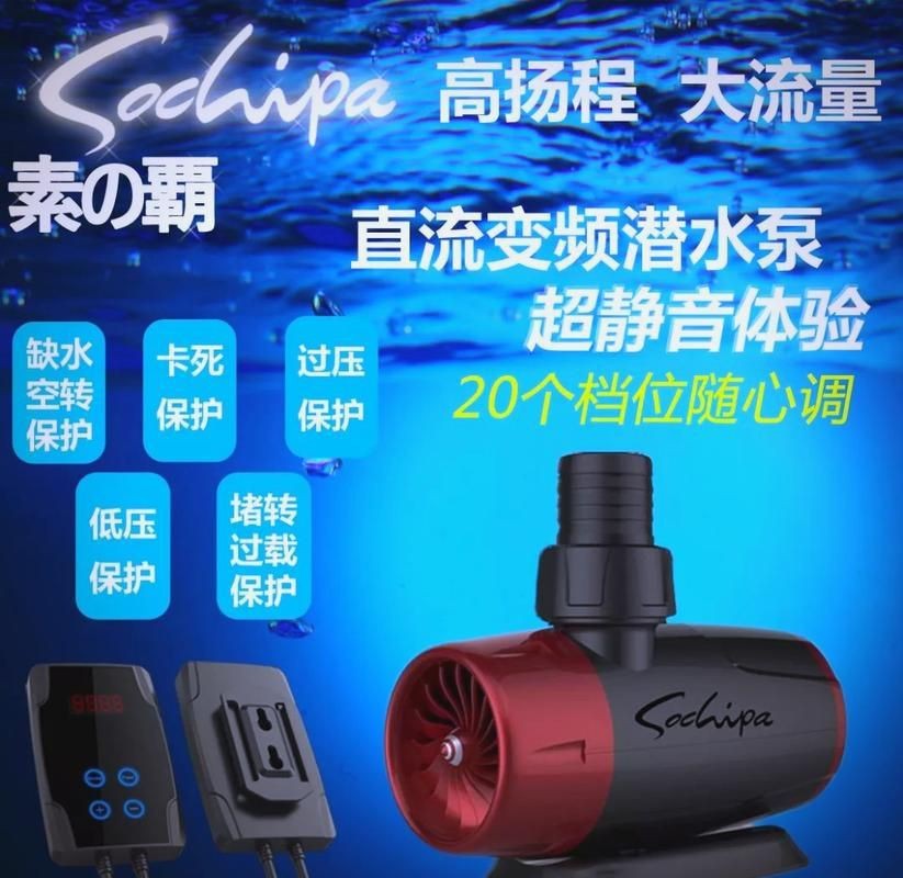 龍魚蒙眼最好治療方法圖解【龍魚蒙眼是什么原因怎么治療】