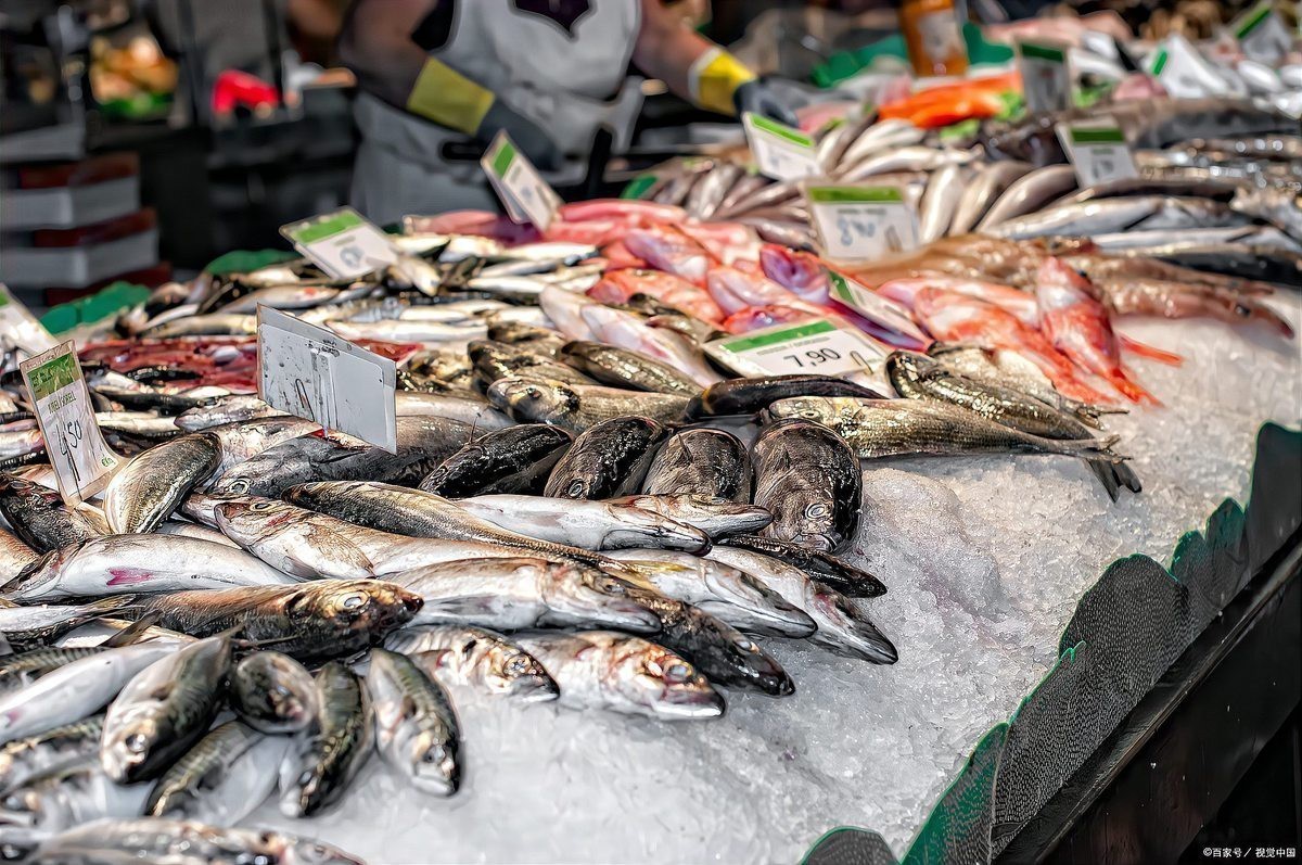 淡水魚十大名魚【中國十大淡水魚】 淡水魚十大名魚【中國十大淡水魚】 龍魚論壇 第3張