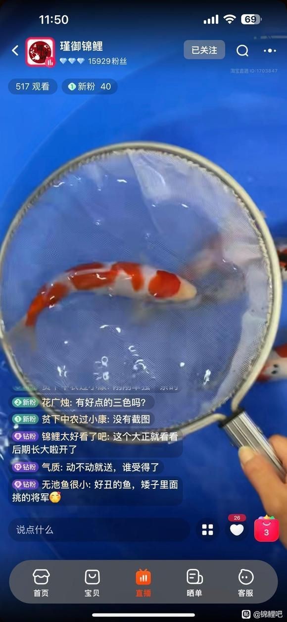 錦鯉吧百度貼吧【《錦鯉吧百度貼吧：獨特的網(wǎng)絡交流空間》】