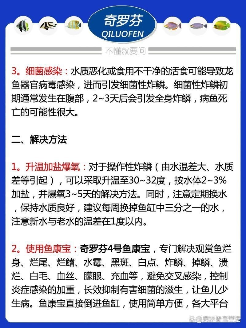 龍魚體表細菌感染圖解【關于龍魚體表細菌感染的詳細圖解】