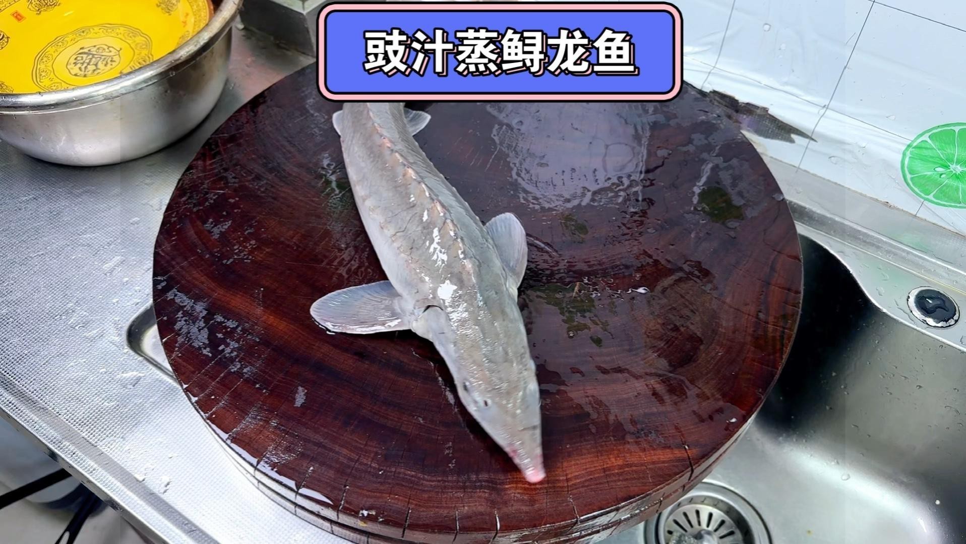 龍魚有哪些烹飪方法【大廚教你鱘龍魚的處理技巧和做法,不腥不柴鮮香滑嫩超子美食】 龍魚有哪些烹飪方法【大廚教你鱘龍魚的處理技巧和做法,不腥不柴鮮香滑嫩超子美食】 龍魚百科 第4張