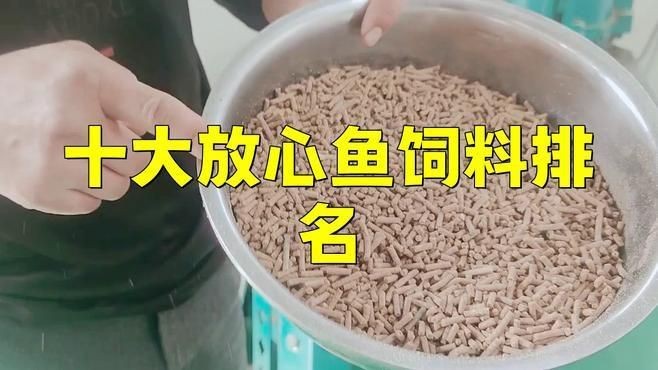 十大公認最好的魚飼料【2025年公認十大優質魚飼料品牌及其核心特點】