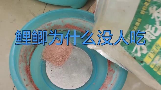 鯉鯽魚為何盡量少吃【鯉鯽魚為什么沒人吃拾貳曉記-4種魚千萬別吃】
