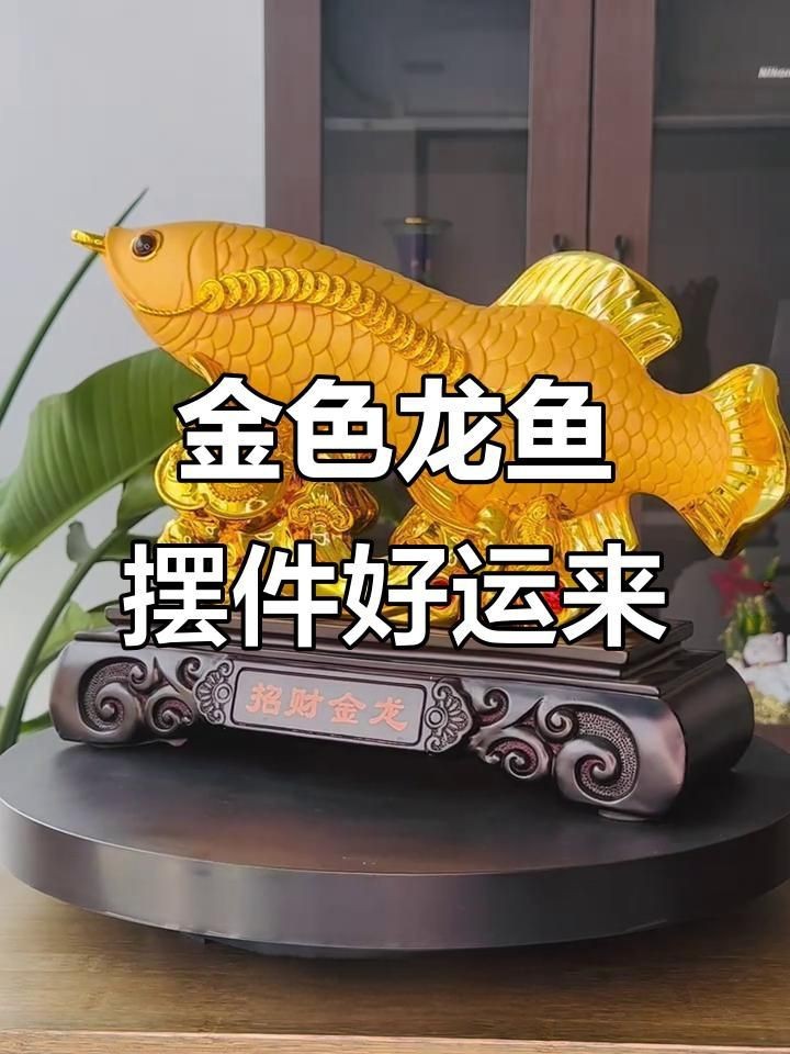 龍頭魚擺件有什么好處【龍頭魚擺件寓意深刻全民小視頻送禮自用兩相宜】 龍頭魚擺件有什么好處【龍頭魚擺件寓意深刻全民小視頻送禮自用兩相宜】 龍魚百科 第5張