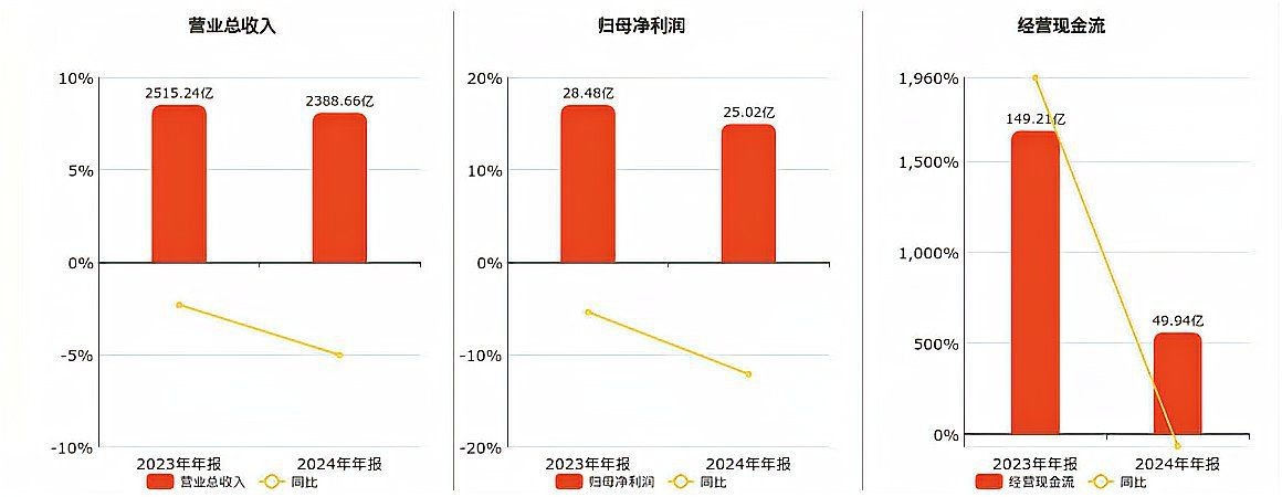 金龍魚2024年年報(bào)【《金龍魚2024年年報(bào)摘要》】