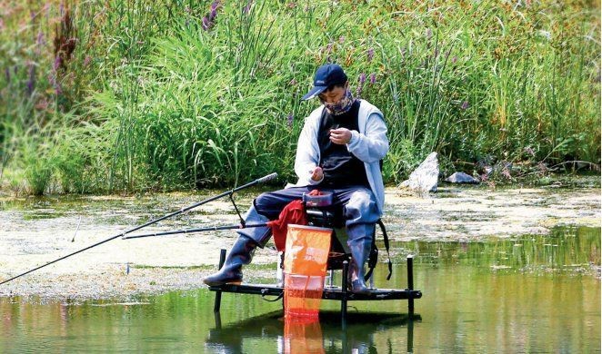 馬口魚圖片大全大圖【第2季)馬口魚篇第2季)馬口魚篇】