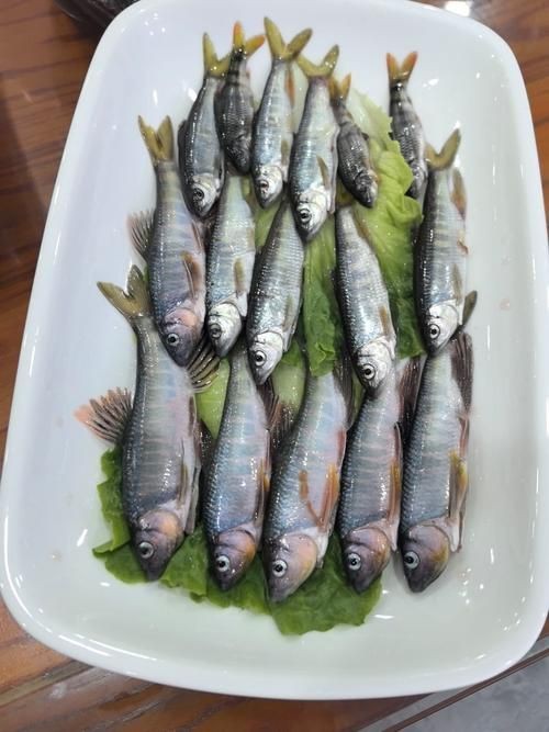 魚缸放在客廳哪個位置最吉利？：客廳魚缸放在哪里風水好？