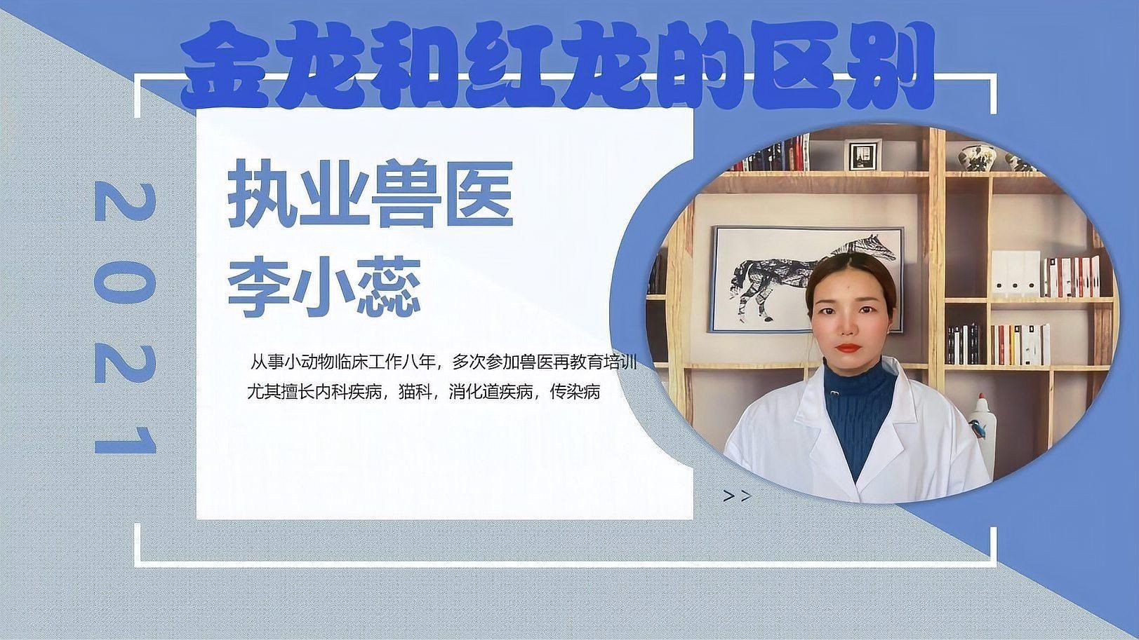 金龍魚和紅龍魚的區別【龍魚和紅龍魚在多個方面存在顯著區別，紅龍魚和紅龍有什么區別】