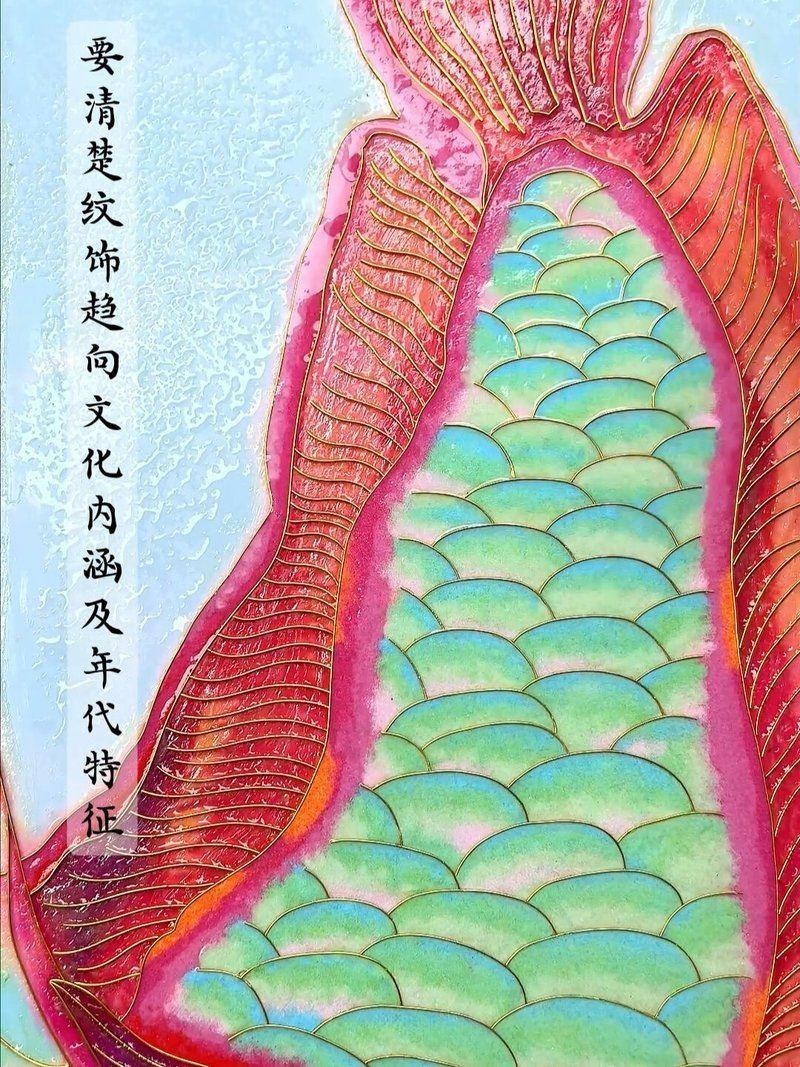 金龍魚學(xué)名【金龍魚學(xué)名是*scleropagesformosus**】