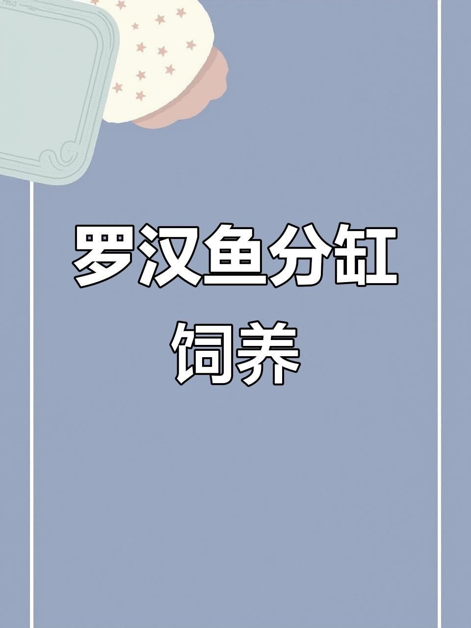 羅漢魚2厘米幼苗怎么養(yǎng)【羅漢魚苗飼養(yǎng)技巧】