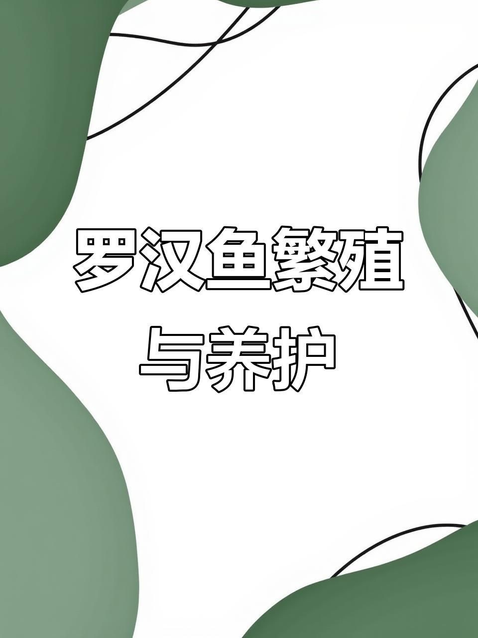 羅漢魚2厘米幼苗怎么養(yǎng)【羅漢魚苗飼養(yǎng)技巧】
