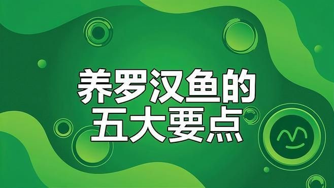 羅漢魚2厘米幼苗怎么養(yǎng)【羅漢魚苗飼養(yǎng)技巧】
