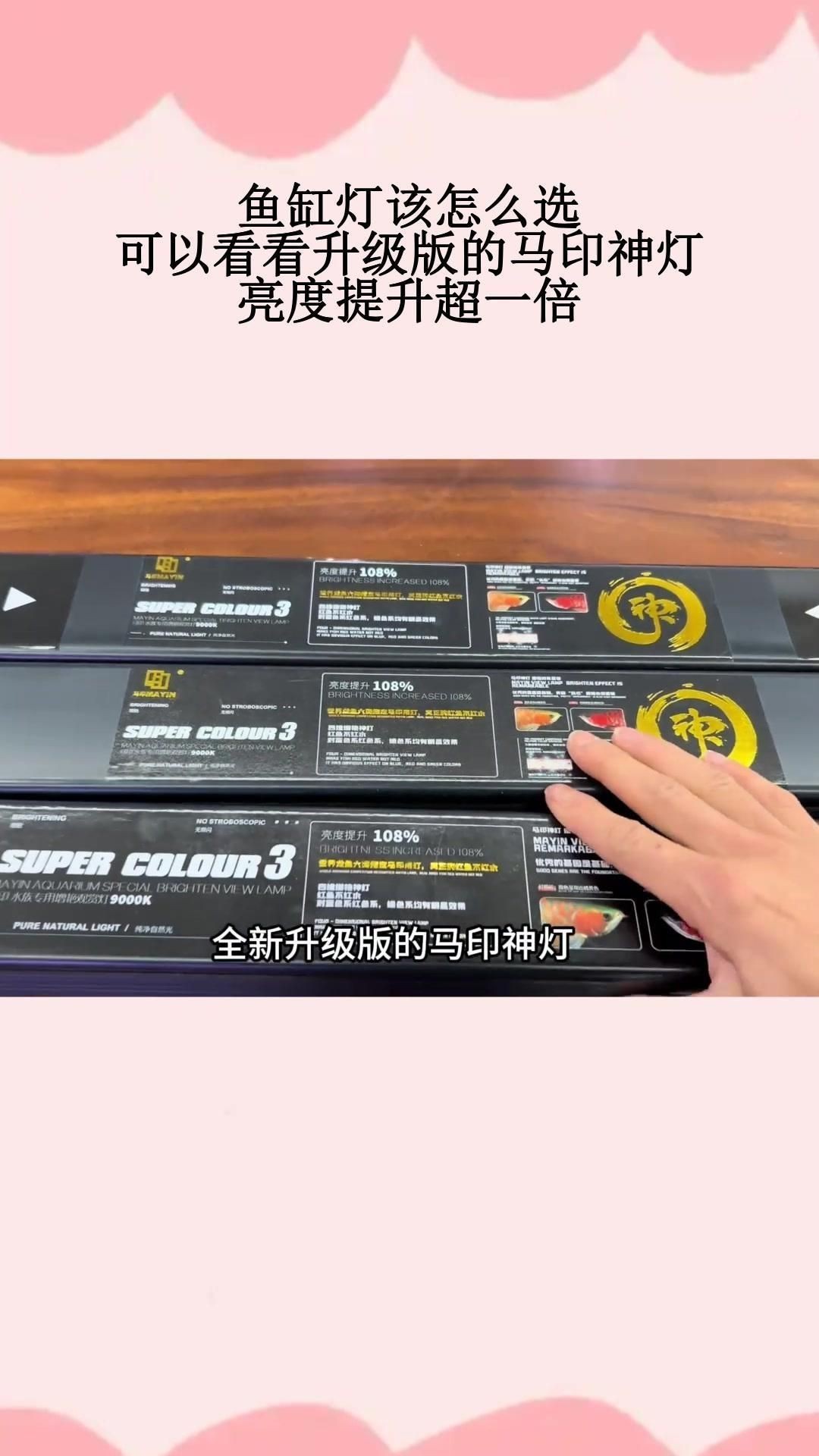 馬印水族燈最建議買哪一款【馬印最新supercolor超色筒燈使用對比評測分享】