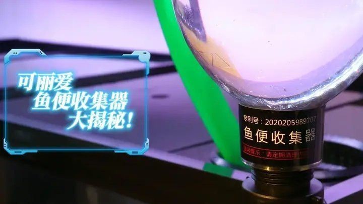 可麗愛魚缸糞便收集器【可麗愛魚缸糞便收集器大揭秘】