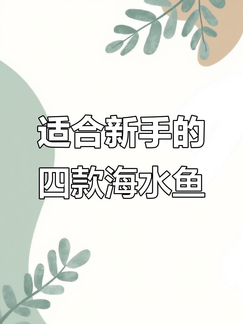 十大最好養(yǎng)的海水魚(yú)【新手養(yǎng)海水魚(yú)嗶哩嗶哩嗶哩嗶哩嗶哩嗶哩嗶哩盤點(diǎn)】