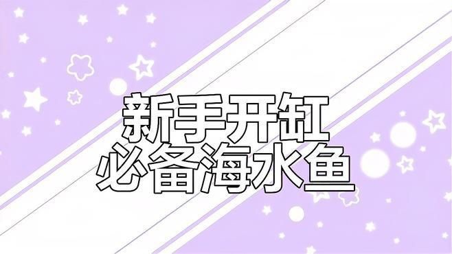 十大最好養的海水魚【新手養海水魚嗶哩嗶哩嗶哩嗶哩嗶哩嗶哩嗶哩盤點】 龍魚百科 第6張 十大最好養的海水魚【新手養海水魚嗶哩嗶哩嗶哩嗶哩嗶哩嗶哩嗶哩盤點】 十大最好養的海水魚【新手養海水魚嗶哩嗶哩嗶哩嗶哩嗶哩嗶哩嗶哩盤點】 龍魚百科 第6張