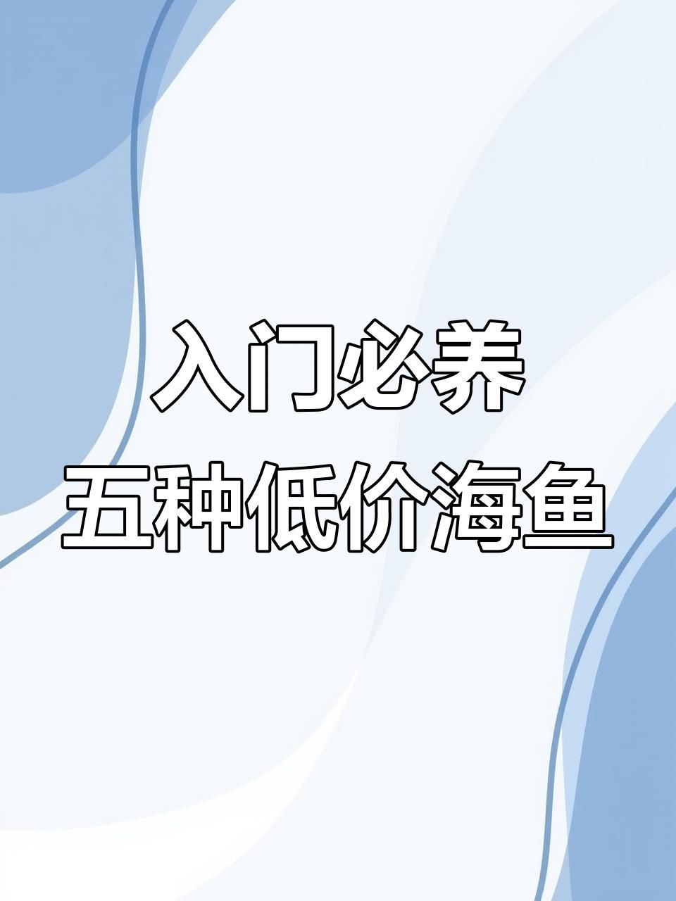 十大最好養的海水魚【新手養海水魚嗶哩嗶哩嗶哩嗶哩嗶哩嗶哩嗶哩盤點】 龍魚百科 第5張 十大最好養的海水魚【新手養海水魚嗶哩嗶哩嗶哩嗶哩嗶哩嗶哩嗶哩盤點】 十大最好養的海水魚【新手養海水魚嗶哩嗶哩嗶哩嗶哩嗶哩嗶哩嗶哩盤點】 龍魚百科 第5張