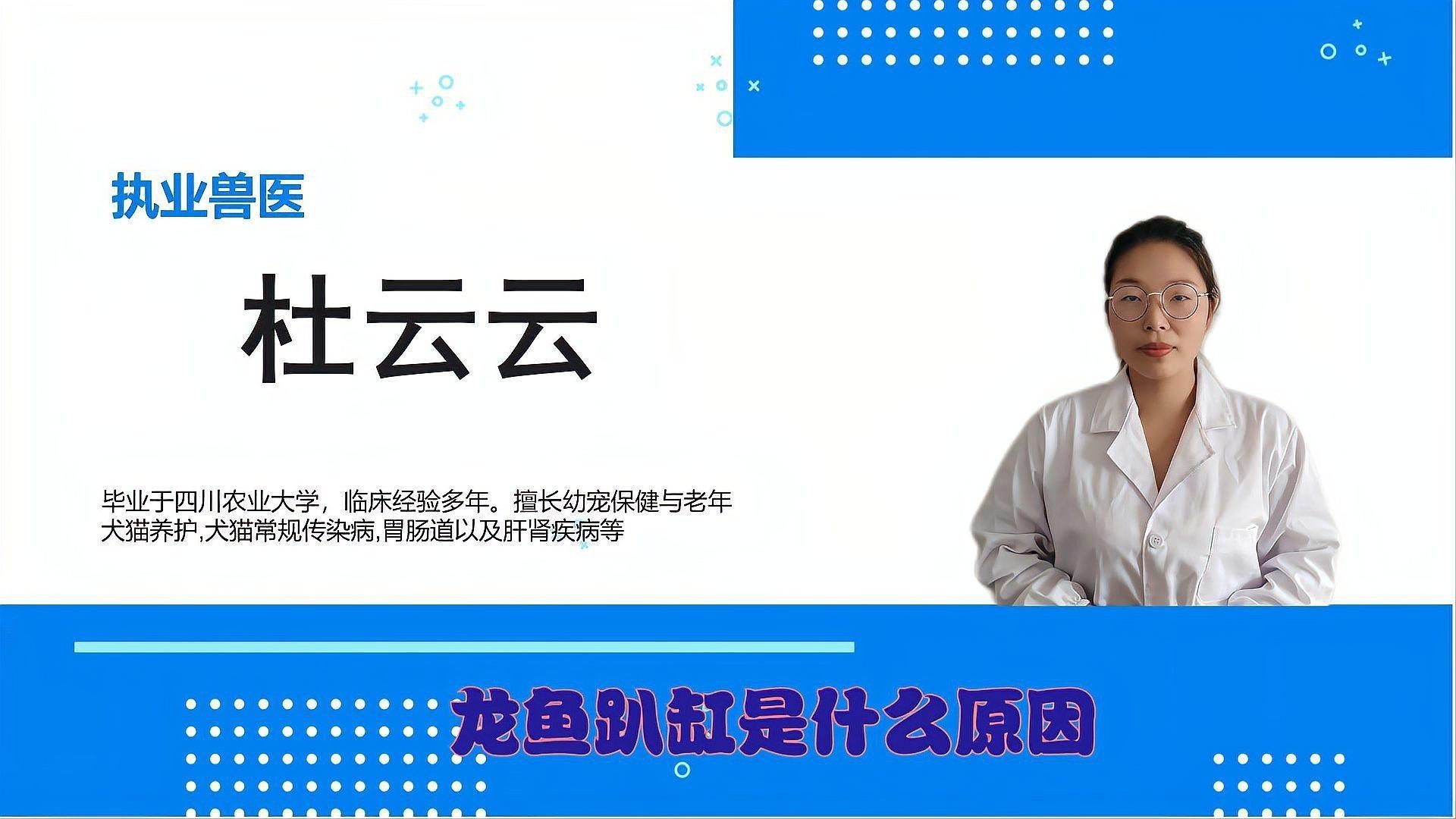 龍魚趴缸是生病了嗎？【龍魚趴缸可能是生病的表現，但也存在其他非疾病原因】