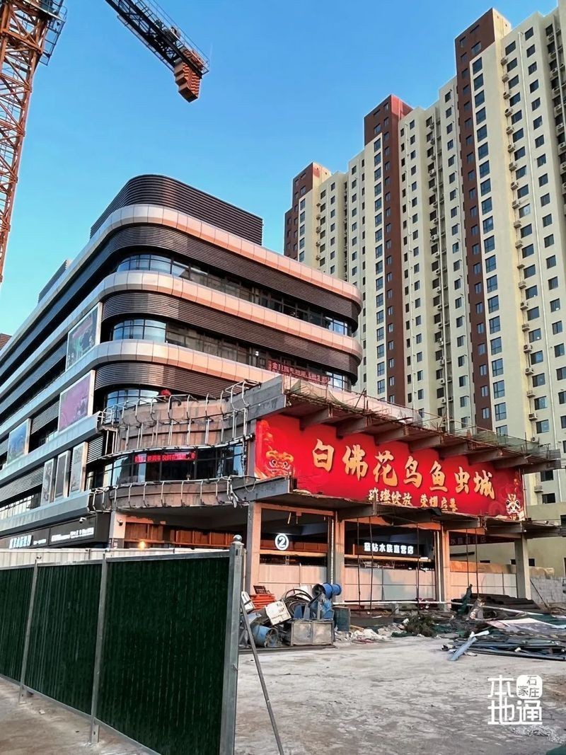石家莊觀賞魚批發市場【石家莊觀賞魚市場】 石家莊觀賞魚批發市場【石家莊觀賞魚市場】 龍魚論壇 第1張