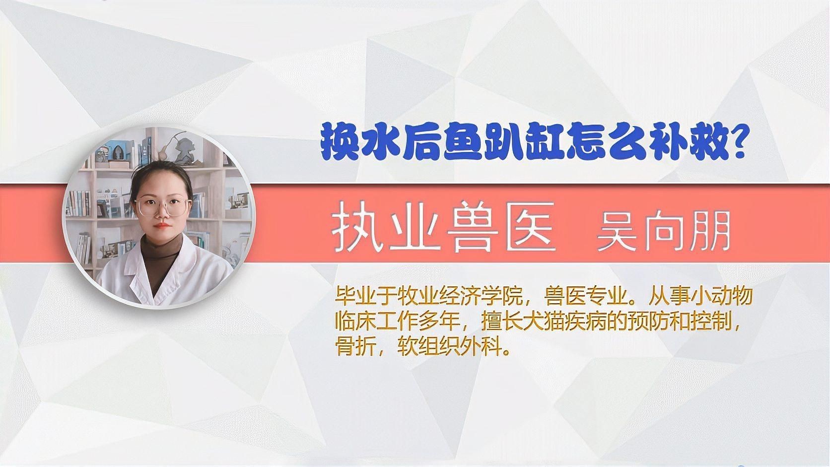 魚趴缸期間需要喂食嗎？【換水后魚趴缸怎么補(bǔ)救魚趴缸期間是否需要喂食】