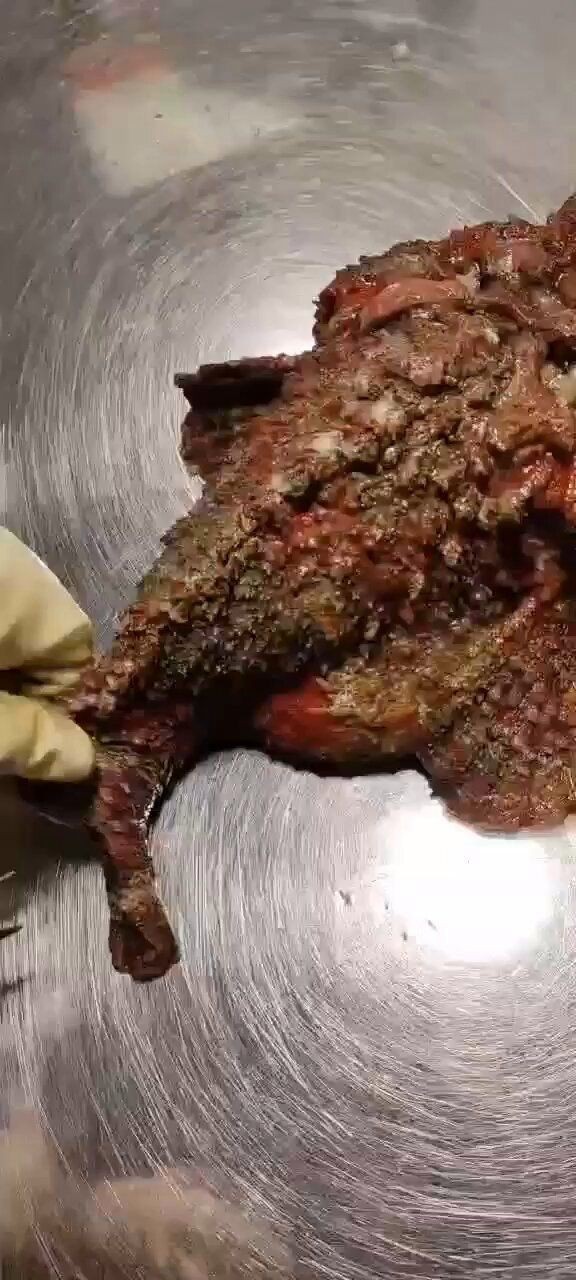 虎魚的功效和作用【朱旭萍虎魚的功效與作用車千紅虎魚的功效與作用】