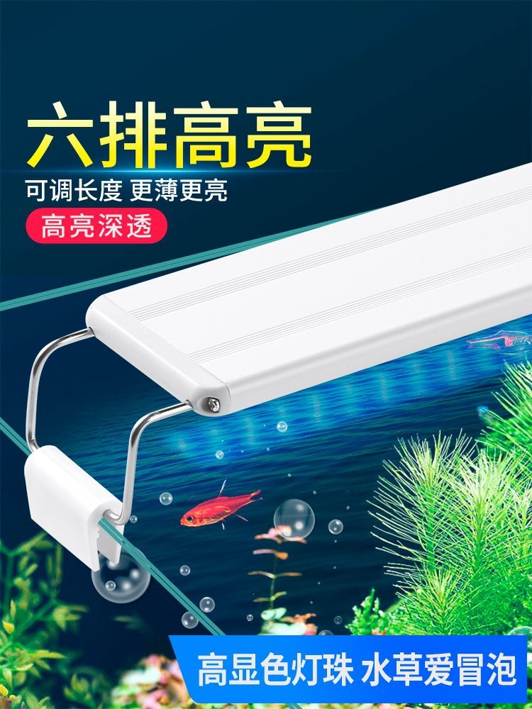 水草燈谷語還是吉印【水草燈谷語與吉印】
