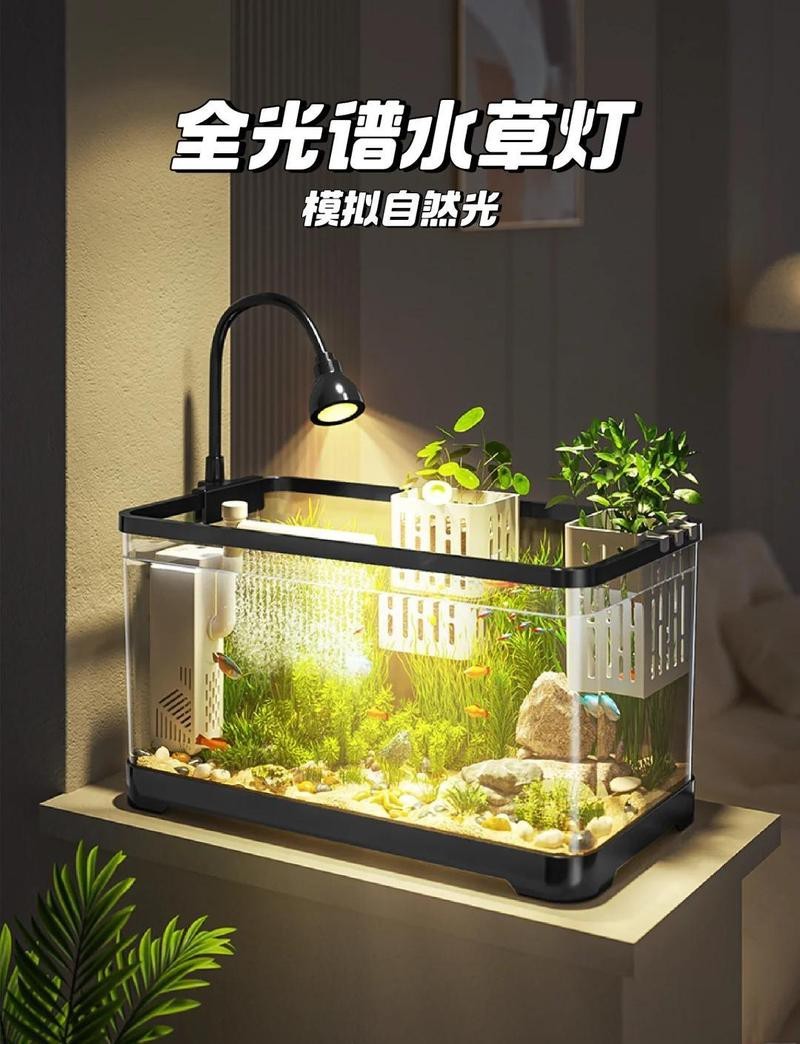 水草燈谷語還是吉印【水草燈谷語與吉印】
