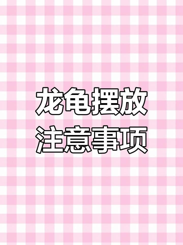 衛生間擺放龍龜有哪些禁忌？【龍龜可以放在衛生間嗎】