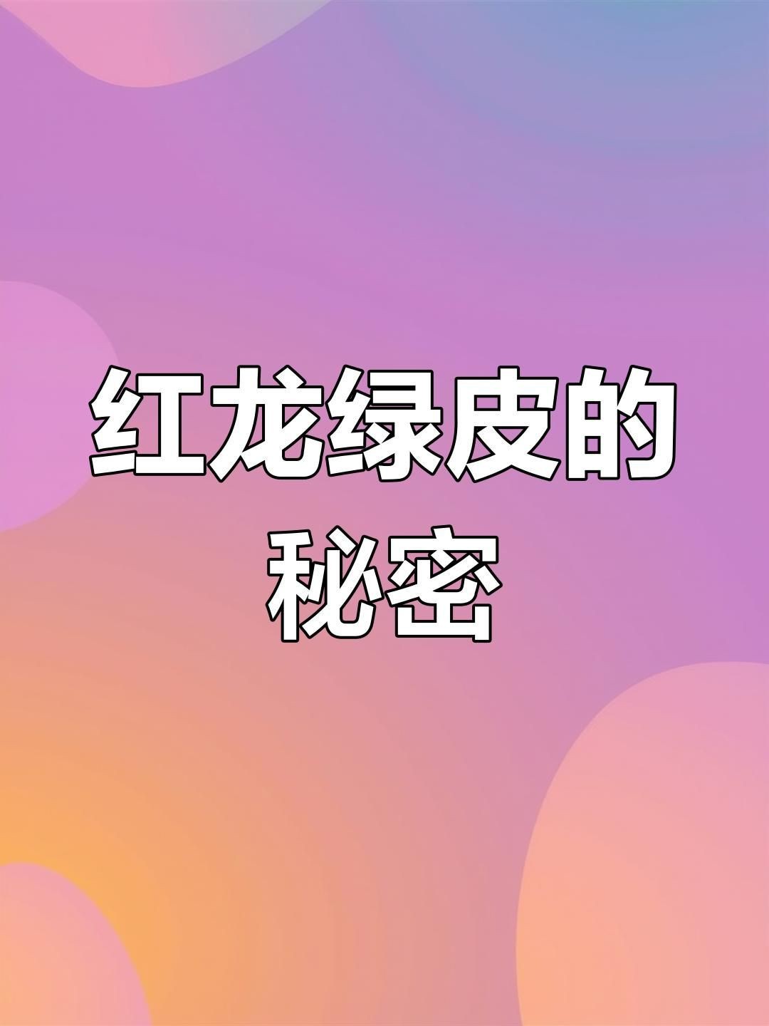 綠皮紅龍好嗎【《綠皮紅龍：優劣并存的寶可夢》綠皮紅龍魚層次分明艷麗奪目】