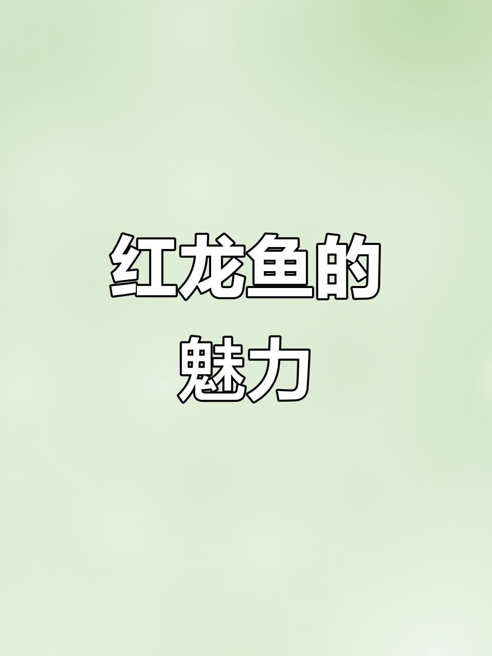紅龍魚的價格，一條紅金龍魚多少錢一條金龍魚多少錢啊