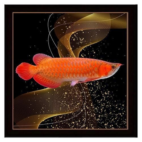 金龍魚微信頭像圖片【《金龍魚微信頭像圖片:獨特與多元的視覺呈現》】 龍魚百科 第12張 金龍魚微信頭像圖片【《金龍魚微信頭像圖片:獨特與多元的視覺呈現》】 金龍魚微信頭像圖片【《金龍魚微信頭像圖片:獨特與多元的視覺呈現》】 龍魚百科 第12張