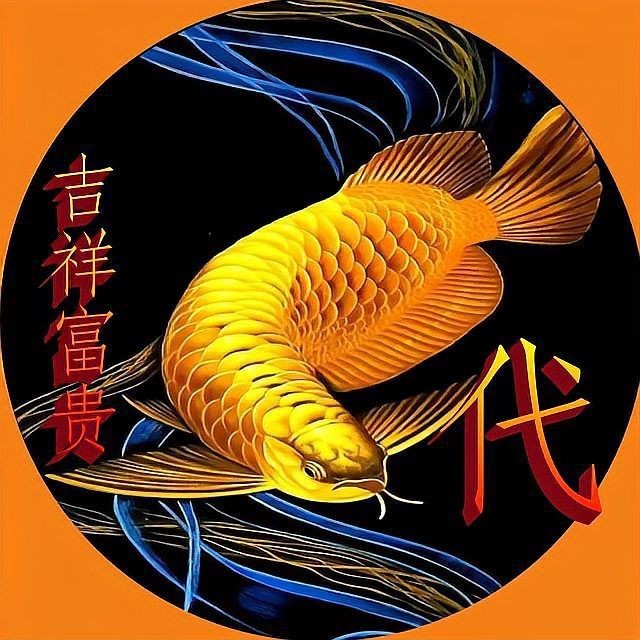 金龍魚微信頭像圖片【《金龍魚微信頭像圖片:獨特與多元的視覺呈現》】 龍魚百科 第31張 金龍魚微信頭像圖片【《金龍魚微信頭像圖片:獨特與多元的視覺呈現》】 金龍魚微信頭像圖片【《金龍魚微信頭像圖片:獨特與多元的視覺呈現》】 龍魚百科 第31張