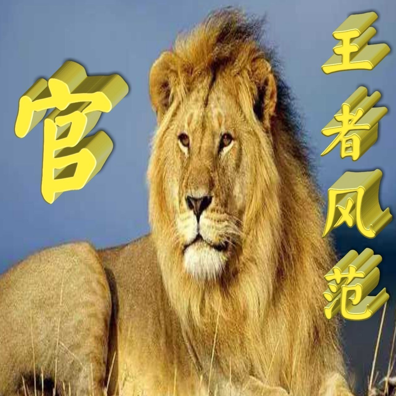 金龍魚微信頭像圖片【《金龍魚微信頭像圖片:獨特與多元的視覺呈現》】 龍魚百科 第32張 金龍魚微信頭像圖片【《金龍魚微信頭像圖片:獨特與多元的視覺呈現》】 金龍魚微信頭像圖片【《金龍魚微信頭像圖片:獨特與多元的視覺呈現》】 龍魚百科 第32張