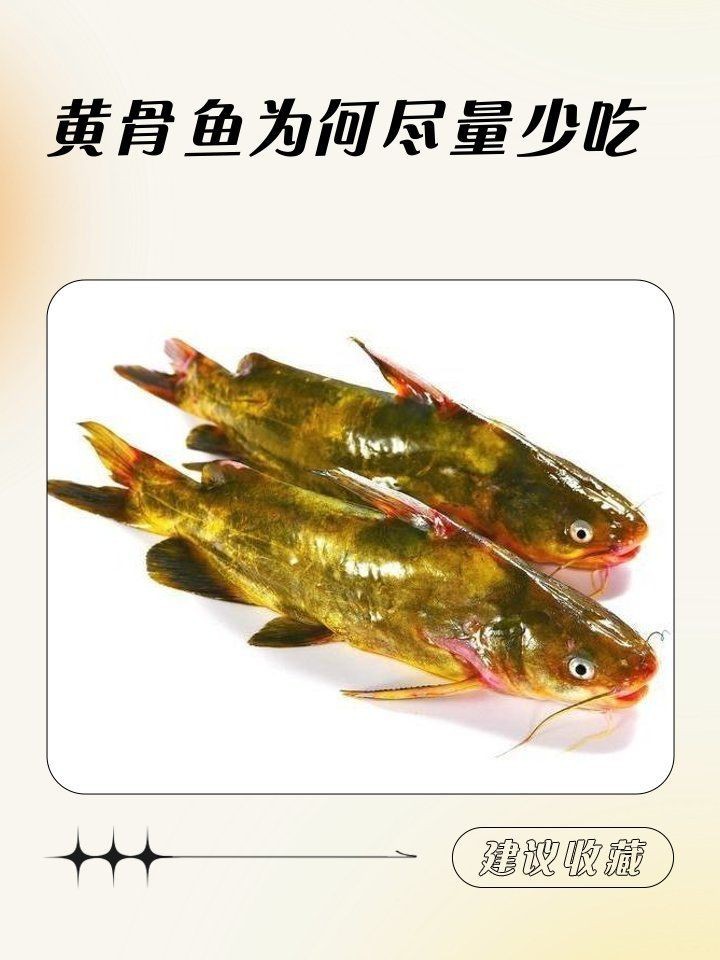 花骨魚為何被禁吃【“花骨魚為何被禁吃”】