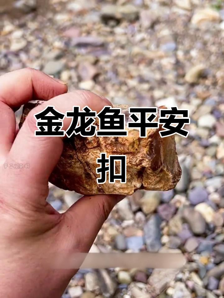 龍頭魚飾品有哪些款式？【一條金龍魚帶來的好運與優(yōu)雅】