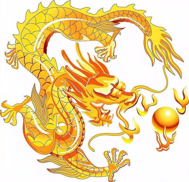 金龍在越南文化中有何特殊之處？【越南金龍在越南文化中的特殊地位】