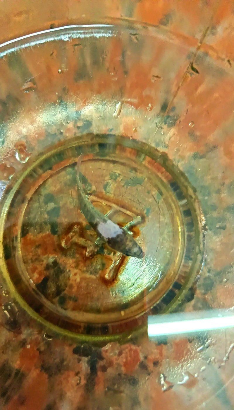 成都魚缸批發市場有哪些，四川成都定制魚缸定制魚缸的地方有哪些地方有哪些