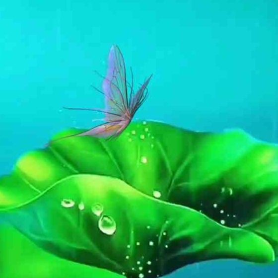 魟魚鰩魚蝠鲼的區別【魟魚、鰩魚、蝠魚、蝠鲼的區別】 龍魚論壇 第2張 魟魚鰩魚蝠鲼的區別【魟魚、鰩魚、蝠魚、蝠鲼的區別】 魟魚鰩魚蝠鲼的區別【魟魚、鰩魚、蝠魚、蝠鲼的區別】 龍魚論壇 第2張