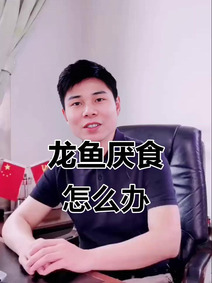 金龍魚多久不吃食會(huì)餓死？【龍魚不吃食會(huì)餓死嗎如何判斷是否患病魚不吃東西會(huì)餓死】 金龍魚多久不吃食會(huì)餓死？【龍魚不吃食會(huì)餓死嗎如何判斷是否患病魚不吃東西會(huì)餓死】 龍魚論壇 第7張