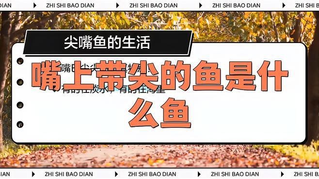 淡水尖嘴魚(yú)叫什么名字【天一有surprise嘴上帶尖的魚(yú)是什么魚(yú)】