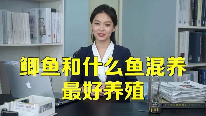 鯽魚和什么魚混養(yǎng)最好【鯽魚和什么魚混養(yǎng)最好養(yǎng)殖】