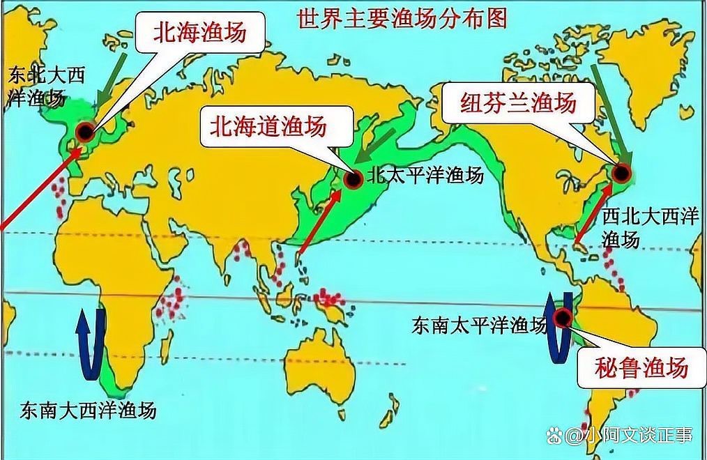 四大漁場哪個消失了【世界四大漁場哪個\
