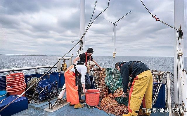 四大漁場哪個消失了【世界四大漁場哪個\